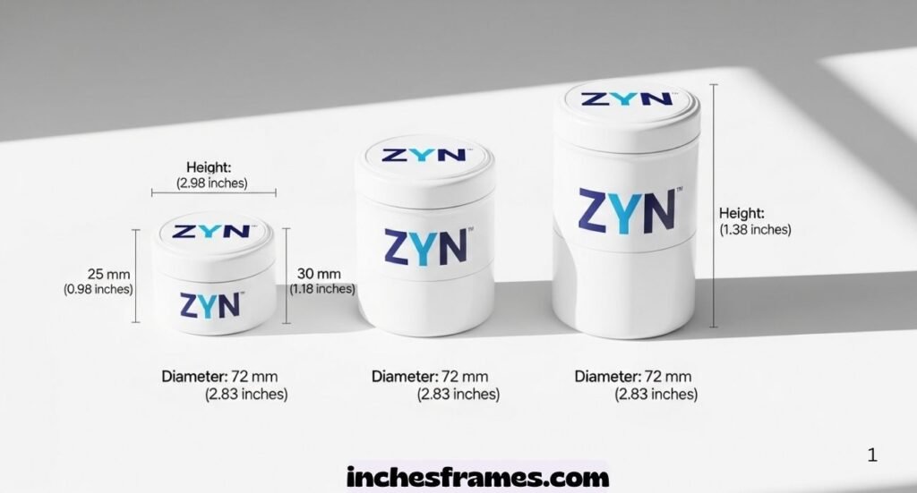 ZYN Can Dimensions