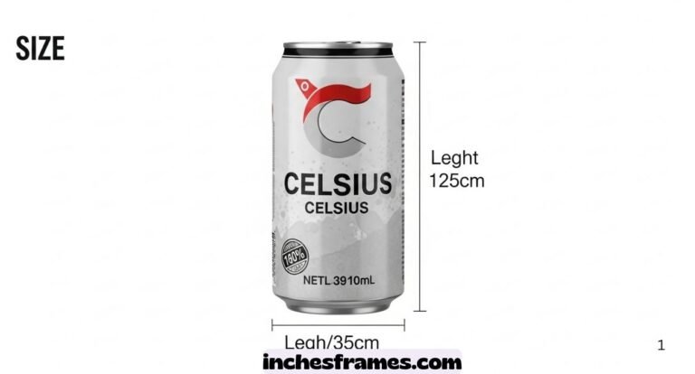 Celsius Can Dimensions